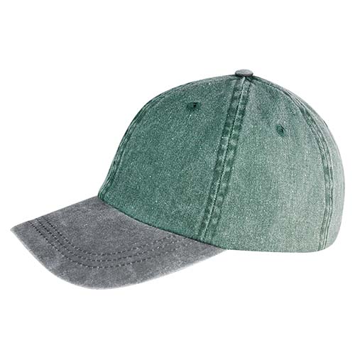 CAP-008-V CAP-008-V